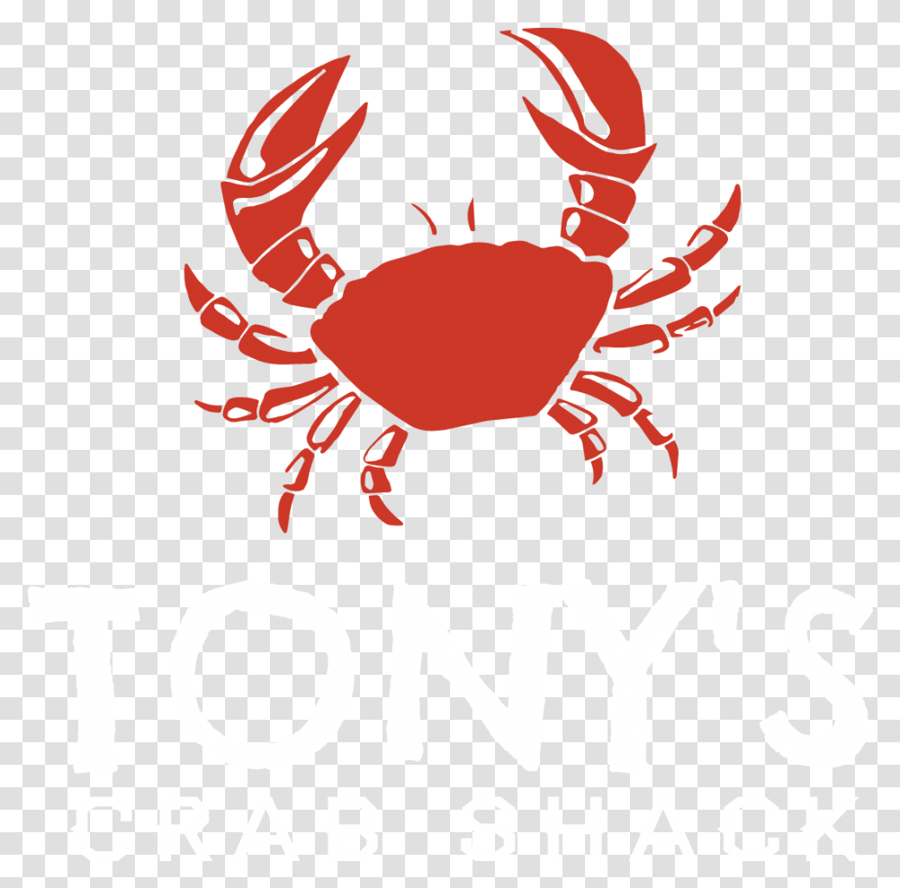 Crab Images Seafood Boil, Sea Life, Animal, Person, Human Transparent Png