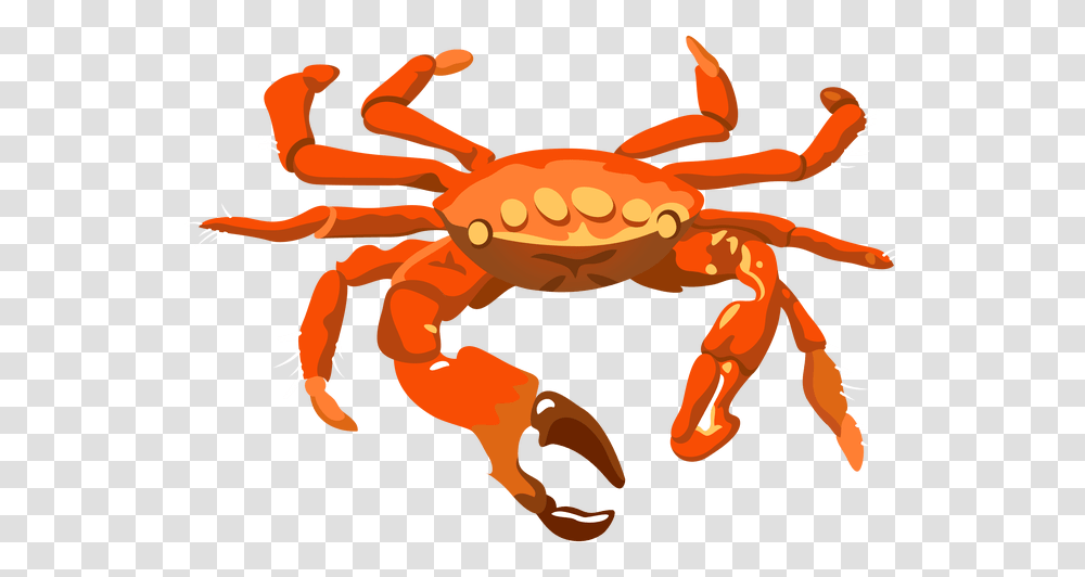 Crab Pictures Clip Art Best For Food Background Crab, Seafood, Sea Life, Animal, King Crab Transparent Png