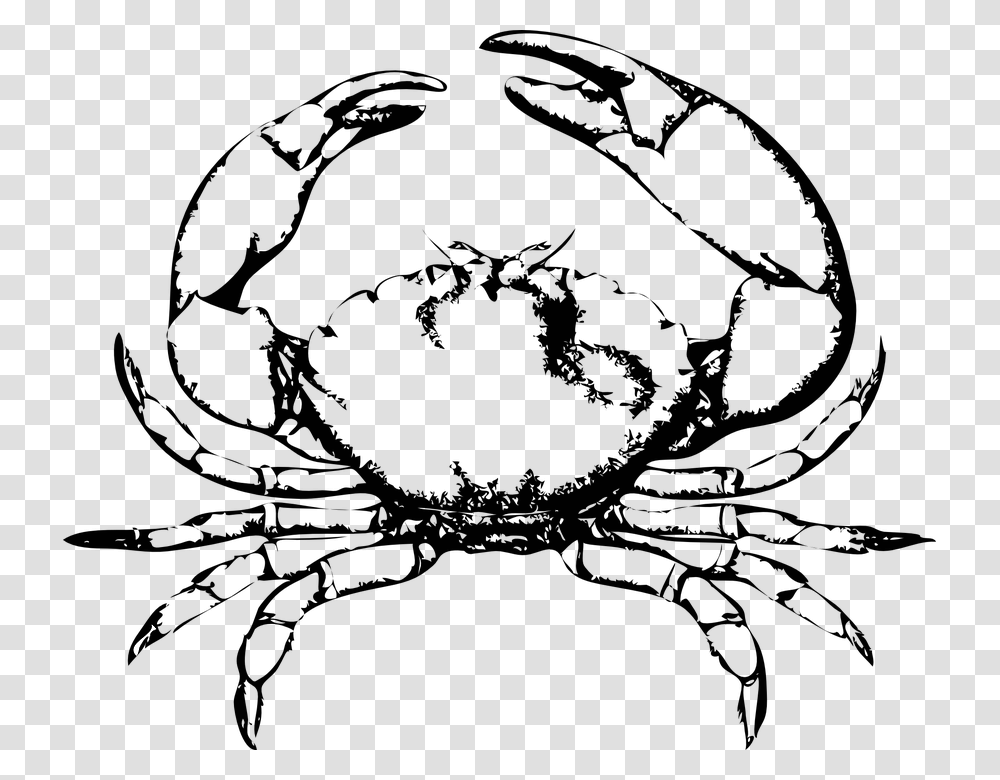 Crab Pinchers Claws Ocean Crustacean Wildlife Crab Clip Art, Outdoors, Gray, Guitarist, Performer Transparent Png