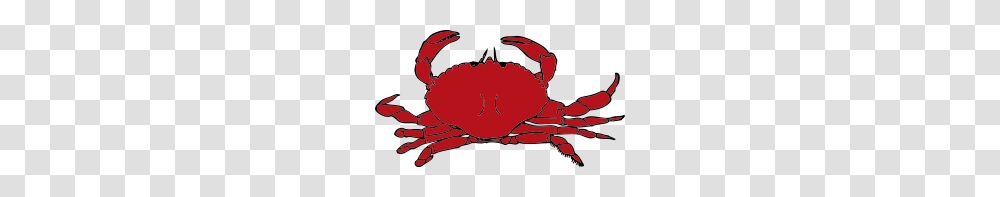 Crab Pot Bouy Clipart, Seafood, Sea Life, Animal, King Crab Transparent Png
