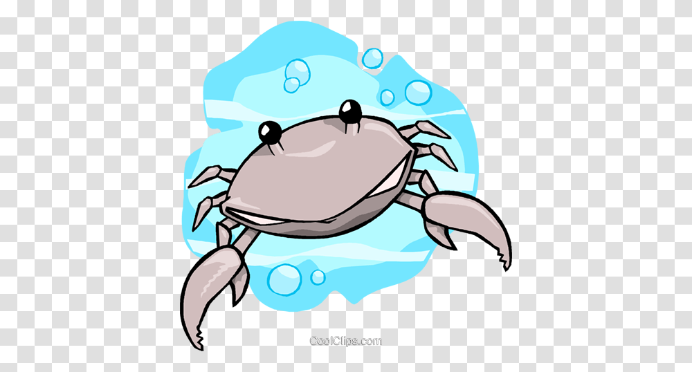 Crab Royalty Free Vector Clip Art Illustration, Sea Life, Animal, Seafood, Sunglasses Transparent Png