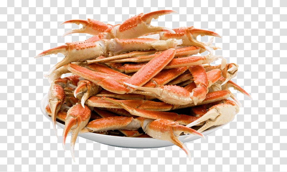 Crab Seafood Boil, Sea Life, Animal, King Crab, Invertebrate Transparent Png