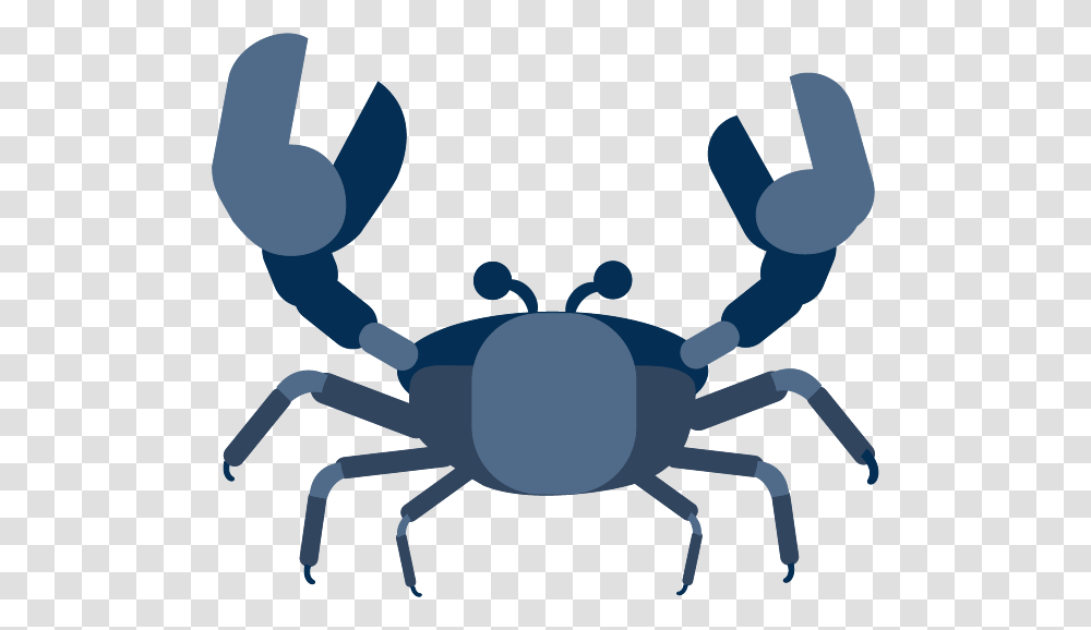 Crab, Seafood, Sea Life, Animal, King Crab Transparent Png