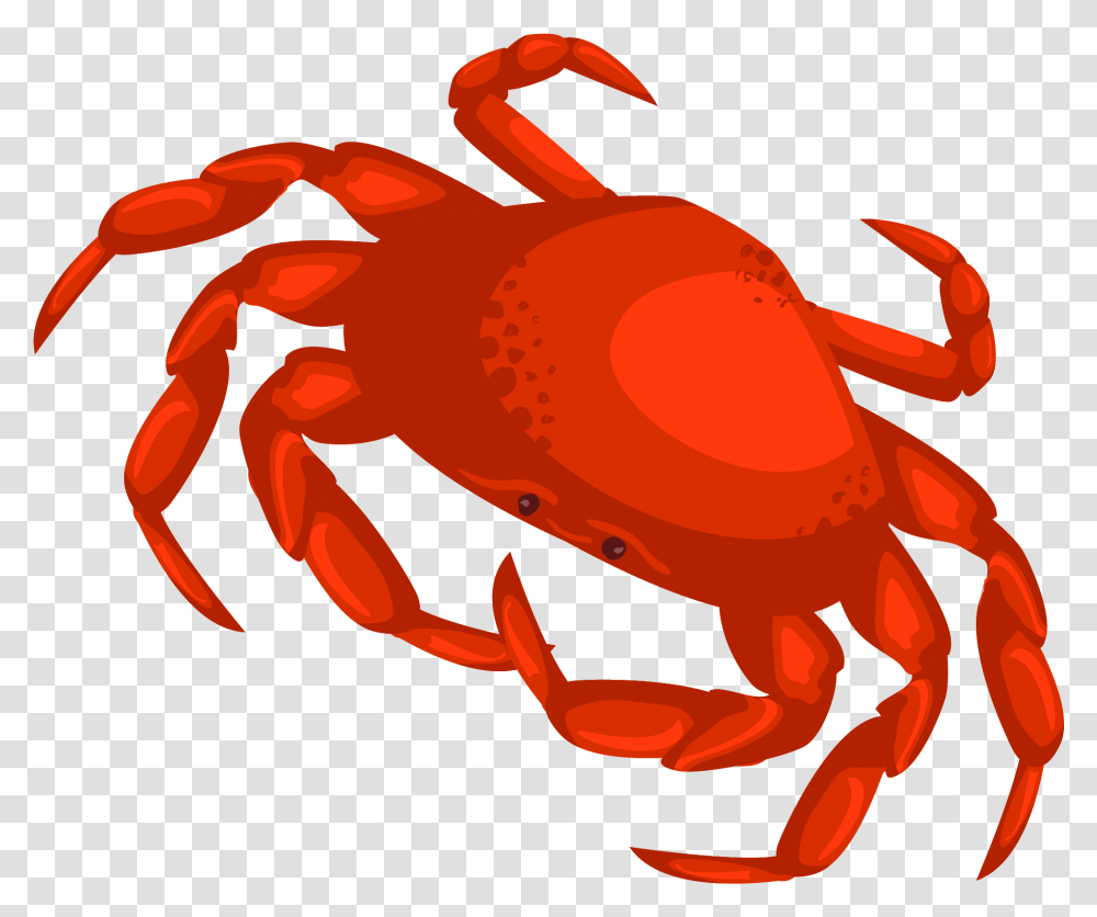 Crab Vector Background Crab Clipart, Seafood, Sea Life, Animal Transparent Png