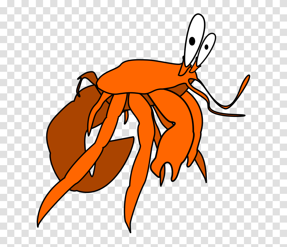Crabby, Animals, Plant, Food, Carrot Transparent Png