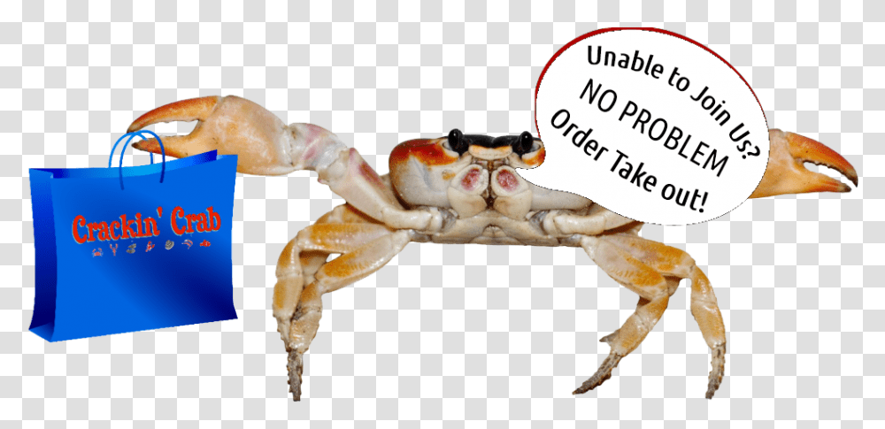 Crabnew High Res Crab, Seafood, Sea Life, Animal, King Crab Transparent Png