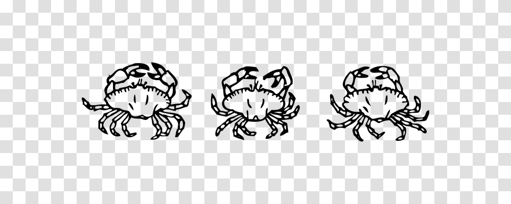 Crabs Animals, Gray, World Of Warcraft Transparent Png