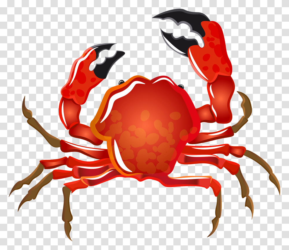 Crabs Clipart Border, Sea Life, Animal, Seafood, King Crab Transparent Png