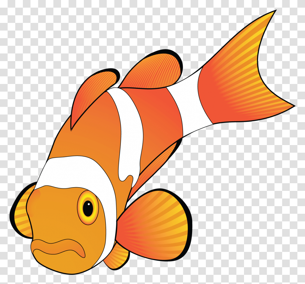 Crabs Clipart Clown Fish Microsoft Office Clipart Animals, Amphiprion, Sea Life, Goldfish Transparent Png