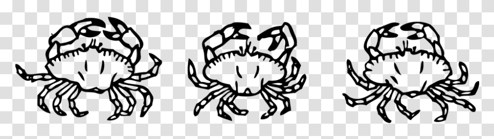 Crabs Crustaceans Shells Seafood Shellfish Claw Crabs Black And White, Gray, World Of Warcraft Transparent Png
