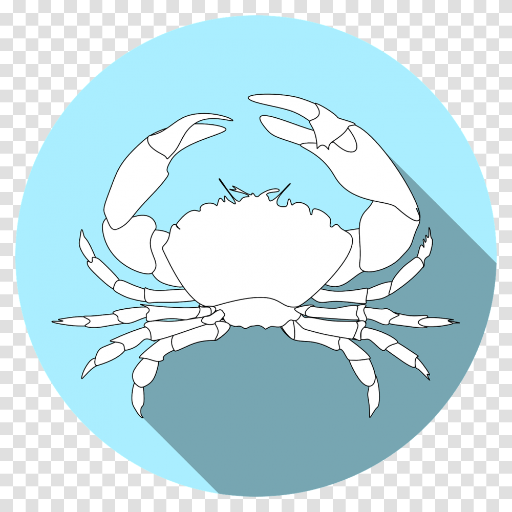 Crabs, Seafood, Sea Life, Animal, Shark Transparent Png