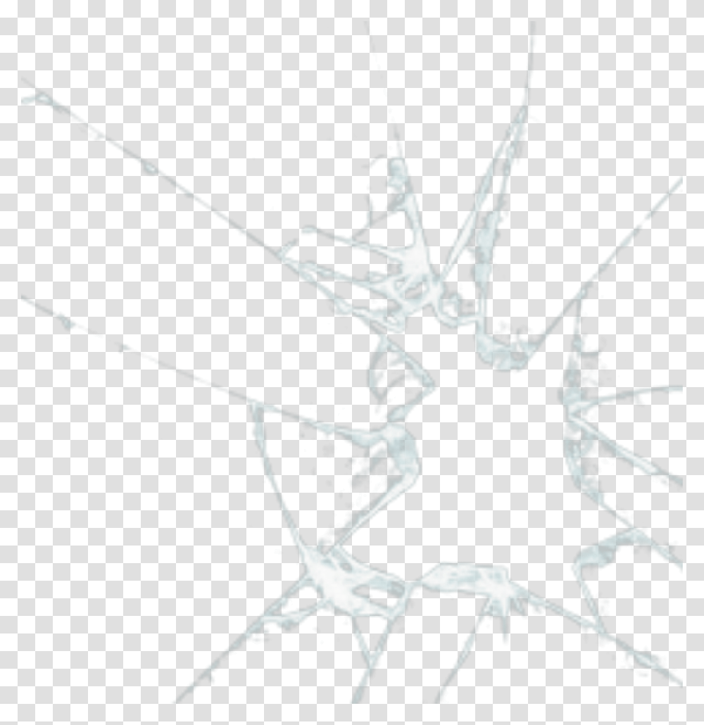 Cracked Drawing Glass Sketch, Bow, Spider, Invertebrate, Animal Transparent Png