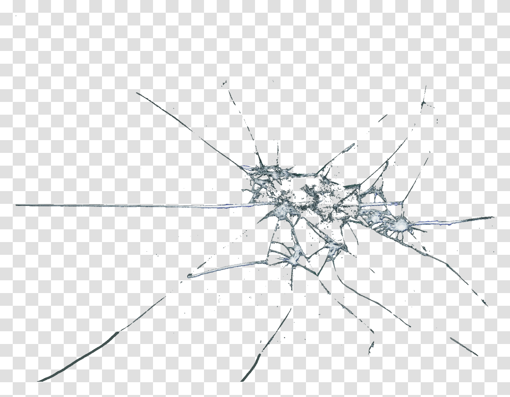 Cracked Glass 5 Image Line Art, Invertebrate, Animal, Insect, Spider Transparent Png