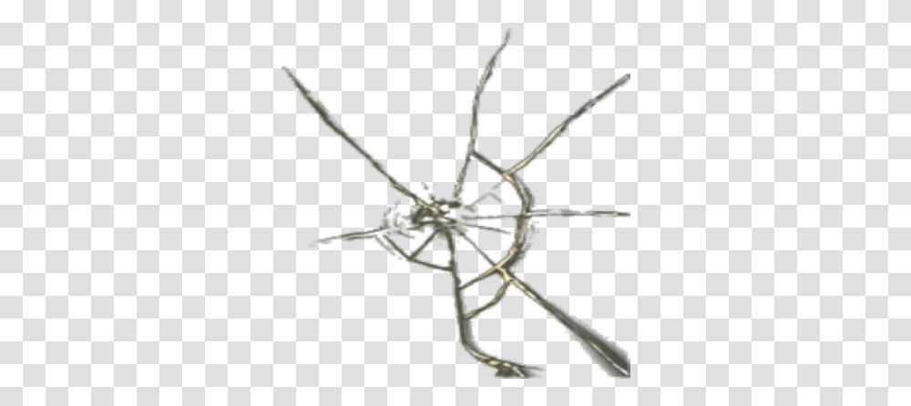 Cracked Glass Roblox Roblox, Spider, Invertebrate, Animal, Arachnid Transparent Png