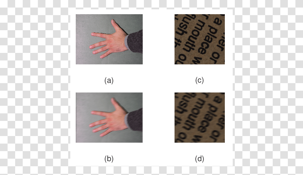 Craft, Hand, Wrist, Person, Human Transparent Png