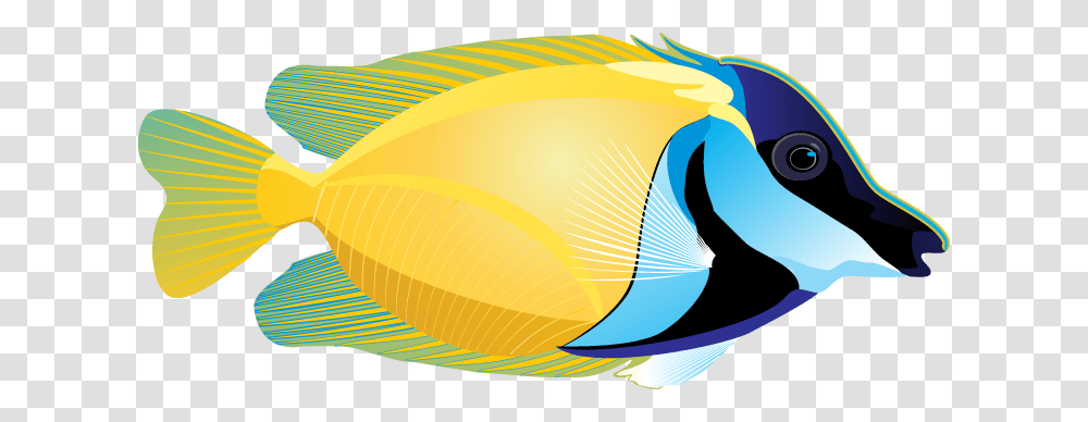 Craft Sites For Kids Clip Art Fish, Surgeonfish, Sea Life, Animal, Angelfish Transparent Png