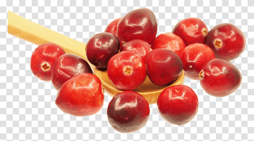 Cranberries In A Spoon Cranberry Detox Health Benefits, Plant, Fruit, Food, Plum Transparent Png