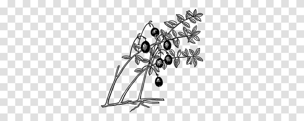 Cranberry Nature, Gray, World Of Warcraft Transparent Png