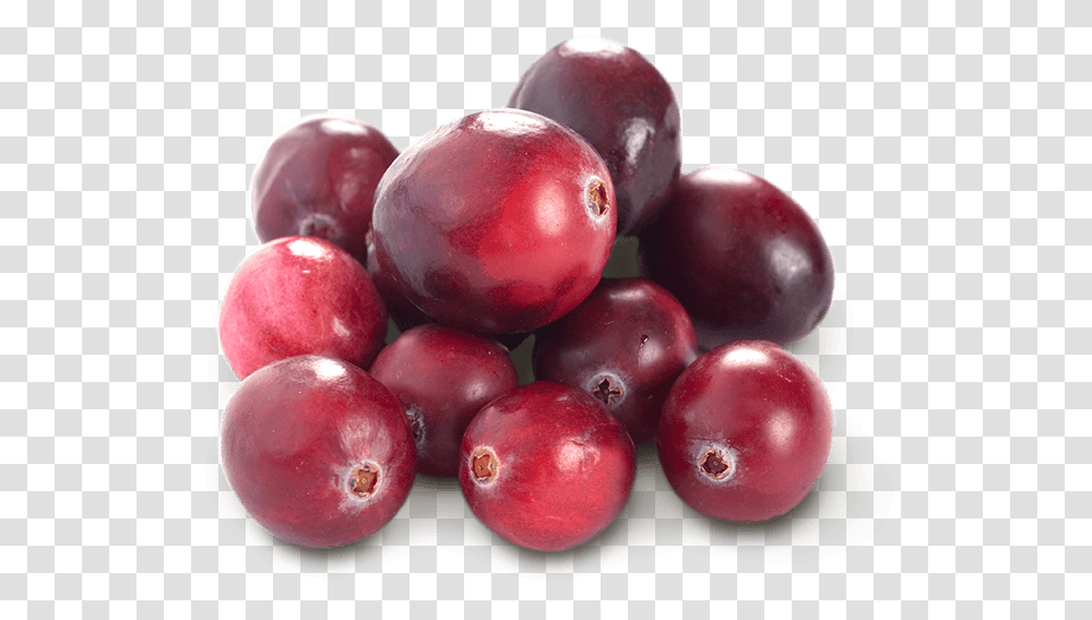 Cranberry And Blueberry, Plant, Fruit, Food, Apple Transparent Png