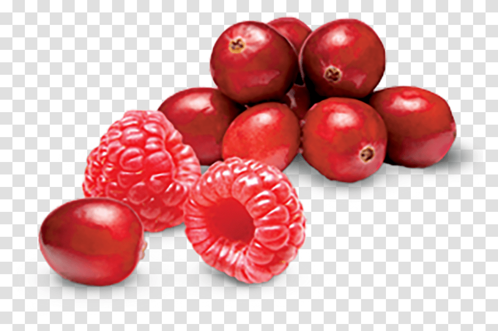 Cranberry And Raspberry Tart Yogurtland, Plant, Fruit, Food, Apple Transparent Png
