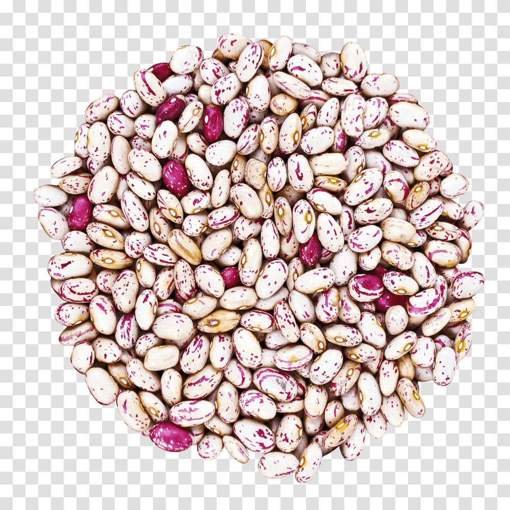 Cranberry Beans Buy Cranberry Beans In Bulk From Food To Live, Plant, Vegetable, Soy, Bracelet Transparent Png