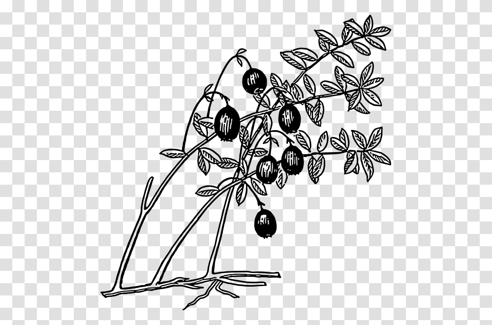 Cranberry Clip Arts Cranberry Coloring Page, Gray, World Of Warcraft Transparent Png