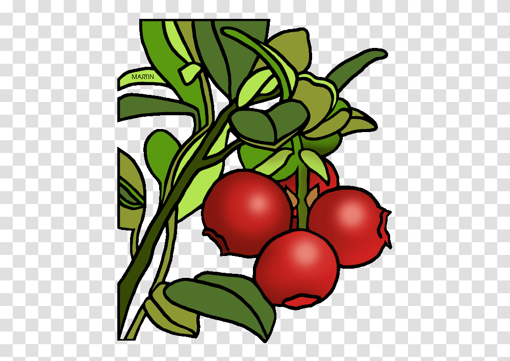 Cranberry Clipart Thanksgiving, Plant, Food, Fruit, Painting Transparent Png