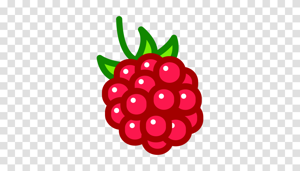 Cranberry Icon With And Vector Format For Free Unlimited, Raspberry, Fruit, Plant, Food Transparent Png