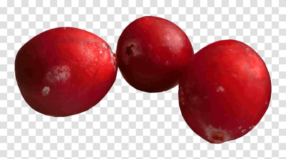 Cranberry Image, Fruit, Plant, Food, Plum Transparent Png
