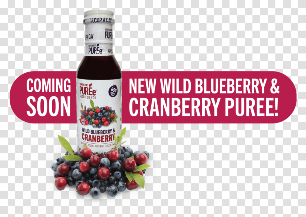 Cranberry Launch Graphic, Food, Ketchup, Plant, Fruit Transparent Png