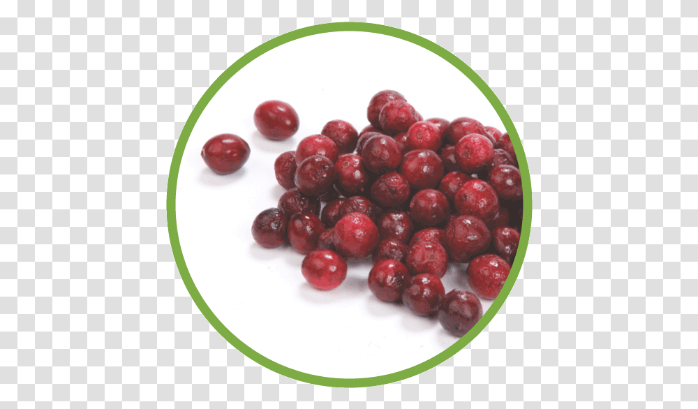 Cranberry Md Circle Red Circle Fruit, Plant, Food, Cherry, Grapes Transparent Png