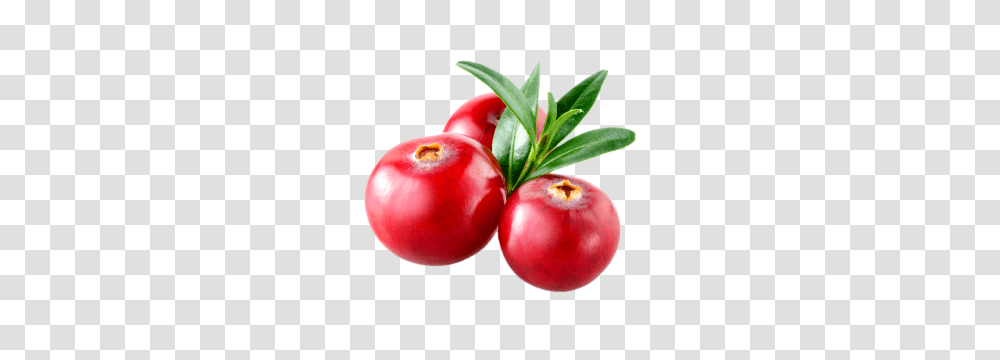 Cranberry, Plant, Fruit, Food, Cherry Transparent Png