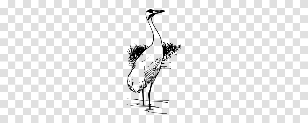 Crane Animals, Nature, Outdoors, Outer Space Transparent Png