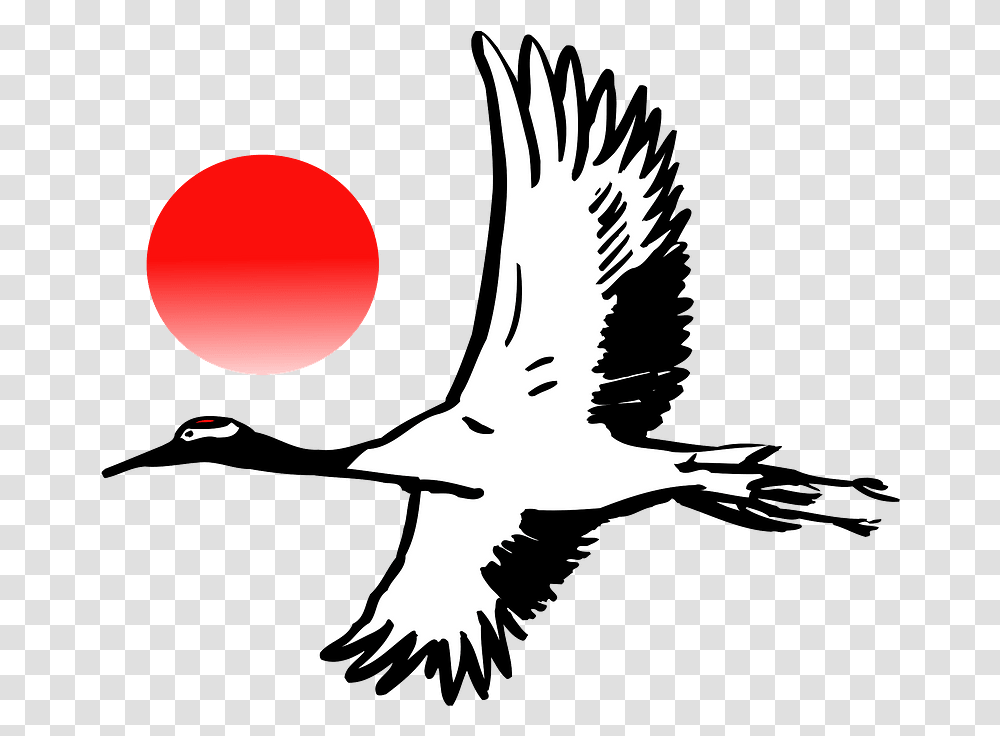 Crane Bird Flying, Animal, Waterfowl Transparent Png
