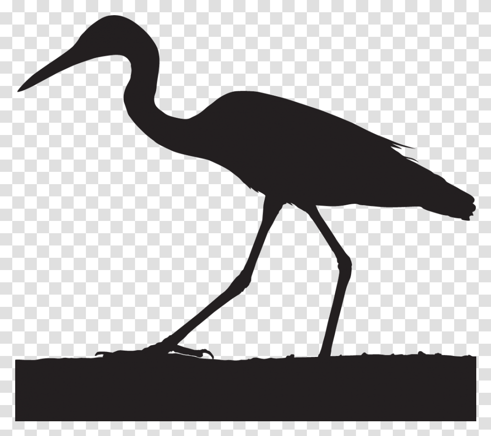 Crane Bird Head Silhouette, Animal, Waterfowl, Antelope, Wildlife Transparent Png