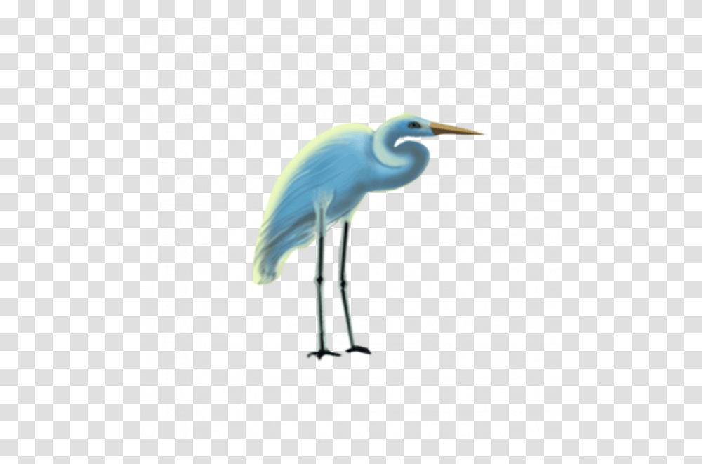 Crane Bird Images Egret, Animal, Waterfowl, Stork, Heron Transparent Png