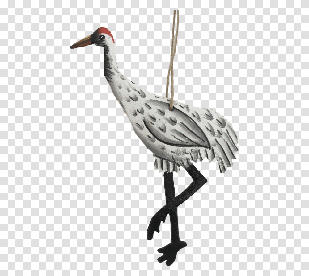 Crane Bird Long, Animal, Art, Leisure Activities, Woodpecker Transparent Png