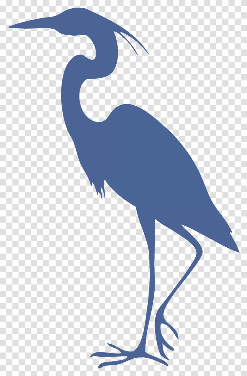 Crane Bird Silhouette Clip Art, Animal, Waterfowl, Stork, Heron Transparent Png