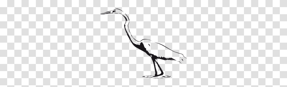 Crane Clip Art, Animal, Stork, Bird, Vulture Transparent Png