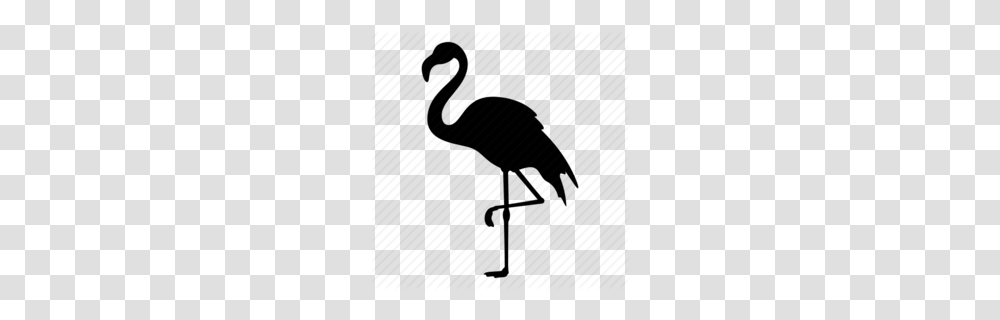 Crane Clipart, Bird, Animal, Flamingo, Ostrich Transparent Png