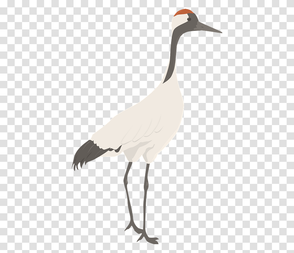 Crane Clipart Goose, Crane Bird, Animal, Stork, Waterfowl Transparent Png