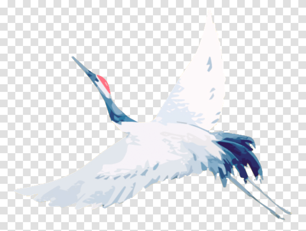 Crane I, Animal, Bird, Flying, Waterfowl Transparent Png