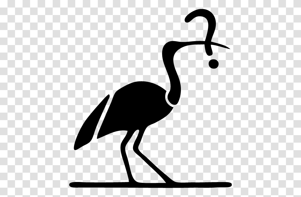 Crane Like Bird, Silhouette, Animal, Waterfowl, Crane Bird Transparent Png