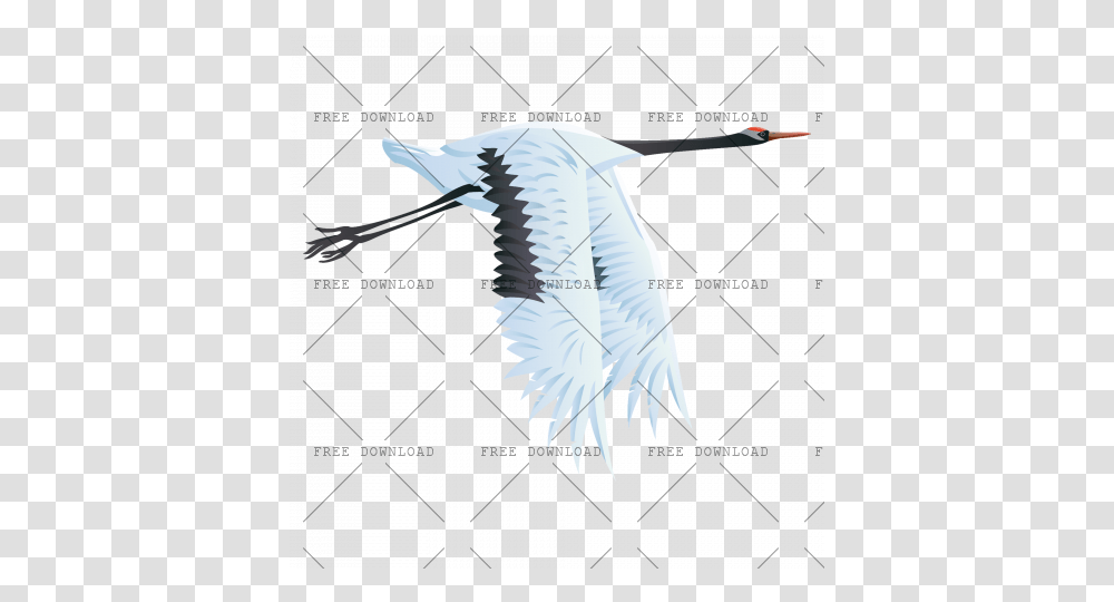 Crane Stork Bird Image With Background Birds, Flying, Animal, Waterfowl, Crane Bird Transparent Png