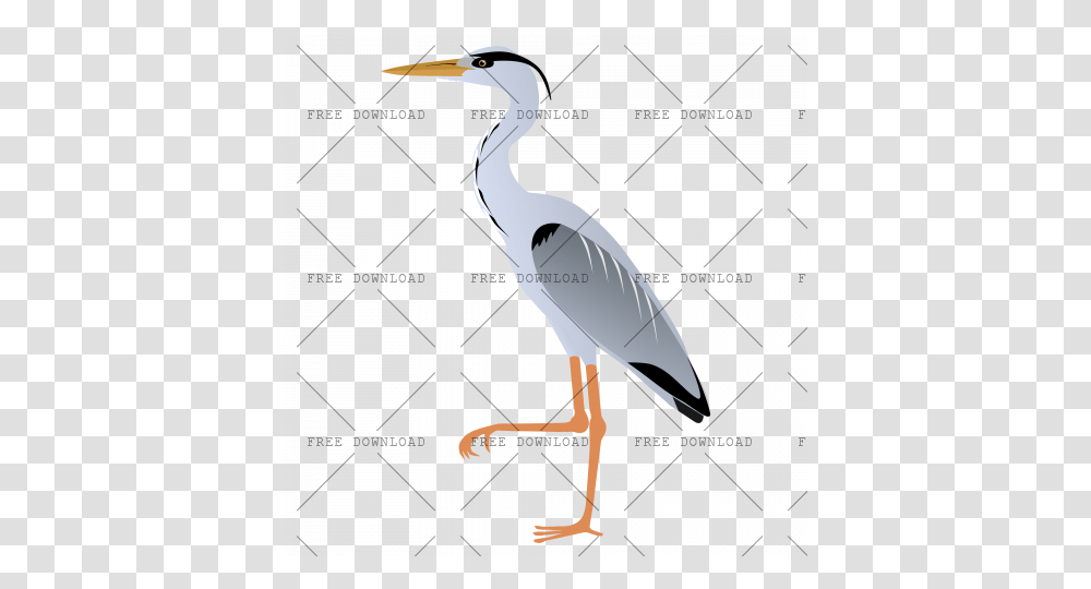 Crane Stork Bird Image With Background Cartoon Heron, Waterfowl, Animal, Ardeidae, Crane Bird Transparent Png
