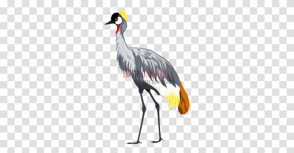 Crane Stork Bird Image With Background Crowned Crane Bird, Animal Transparent Png