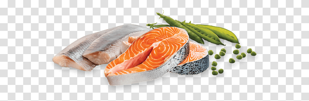 Crave With Protein From Salmon & Ocean Fish Fish Slice, Food, Plant, Meal, Fungus Transparent Png