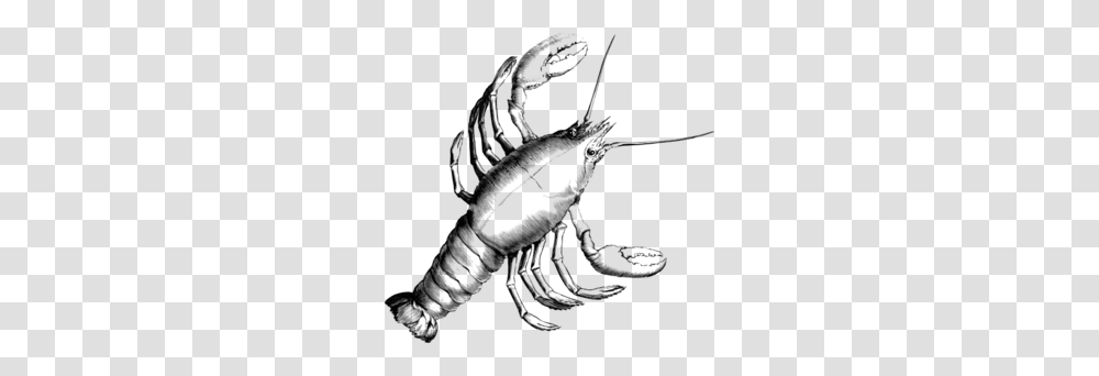 Crawfish Clip Art, Gray, World Of Warcraft Transparent Png