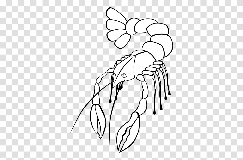 Crawfish Clipart For Web, Stencil, Animal, Invertebrate, Insect Transparent Png