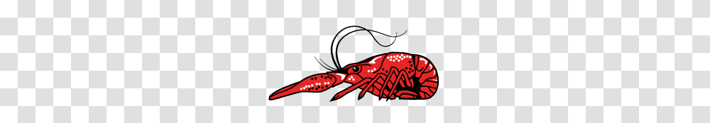 Crawfish Eating Contest, Seafood, Lobster, Sea Life, Animal Transparent Png
